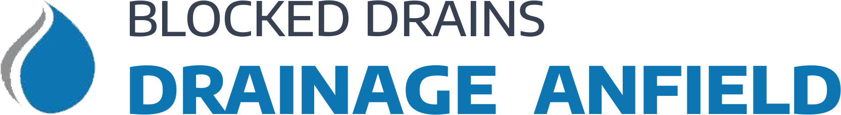 website logo